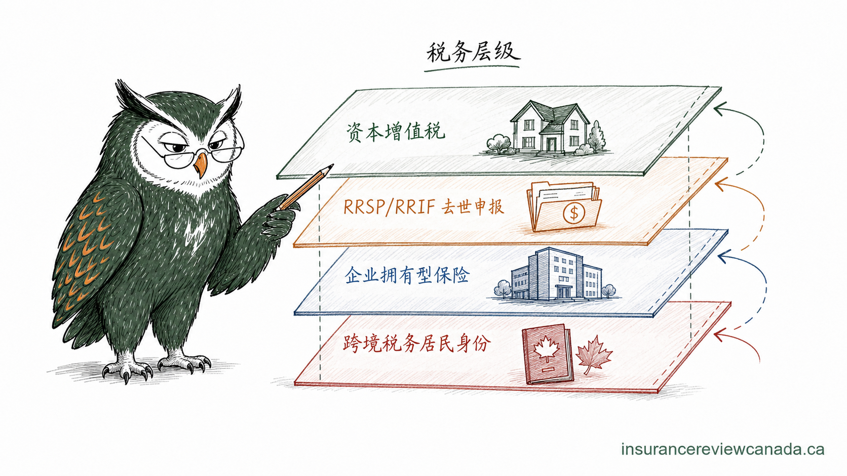 手绘猫头鹰展示加拿大家庭身故时可能触发的税务层级，画面标注资本增值税 / RRSP-RRIF 申报 / 企业拥有型保险 / 跨境税务居民身份